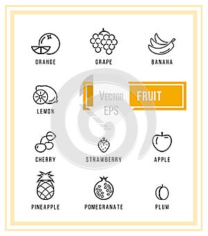 Fruits Icons. Vector Illustration.