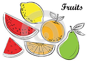 Fruits illustration in vector