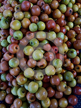 Fruits indian ber jujube in Market for selling