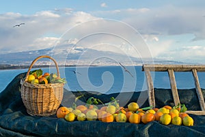 Fruits and landscapes from Italy