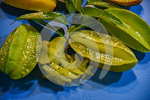 Fruits and leaves of carambola Averrhoa carambola on blue background photo