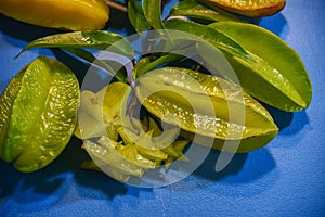 Fruits and leaves of carambola Averrhoa carambola on blue background photo