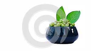 Fruits and leaves of henna plant, Lawsonia inermis raw fruits in a bowl on white background