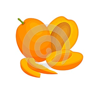 Fruits mango on a white background. Vector.