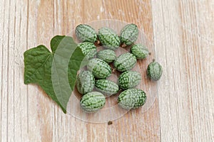 Fruits of a Mexican sour gherkin, Melothria scabra