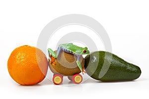 Fruits Mobile and Frog