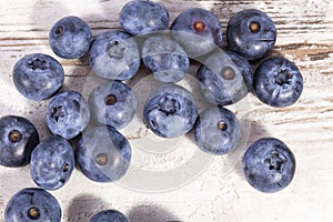 Fruits of northern highbush blueberry Vaccinium corymbosum