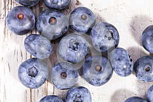 Fruits of northern highbush blueberry Vaccinium corymbosum