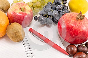 Fruits and a notebook