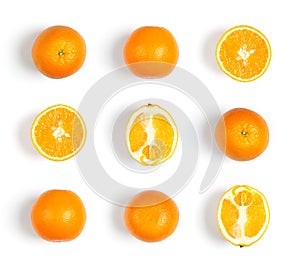 Fruits pattern. Collection of oranges on white