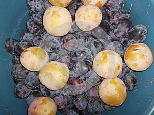 Fruits picked at the dacha in autumn