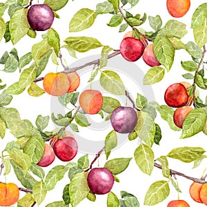 Fruits - plum, cherry, apples. Vintage seamless natural pattern. Watercolor