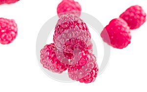 Fruits of raspberry