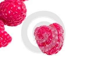 Fruits of raspberry