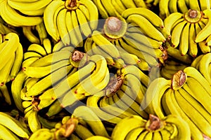 Fruits. Ripe Bananas At Market. Healthy Raw Potassium Rich Food.