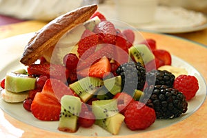 Fruits salad on a plate photo