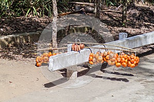Fruits for sale at La Farola pass between Guantanamo and Baracoa, Cu photo