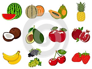 Fruits set vector drawing on isolated background