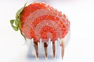 Fruits - Strawberries