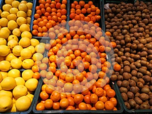 Fruits in supermarket - kiwis, oranges and grapefruits