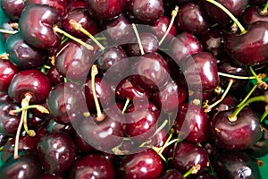 Fruits of sweet cherry with peduncles photo