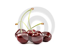 Fruits of a sweet cherry on white background