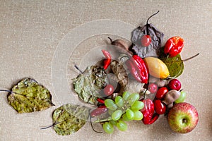 Fruits with textured background.