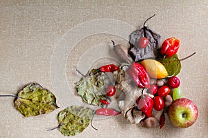 Fruits with textured background.