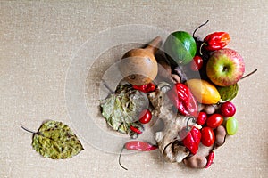 Fruits with textured background.