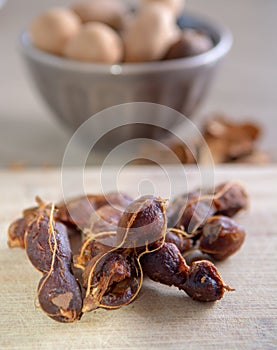 Fruits of tropcal Africal tree tamarind, used in cooking, traditional medicine and metal polish