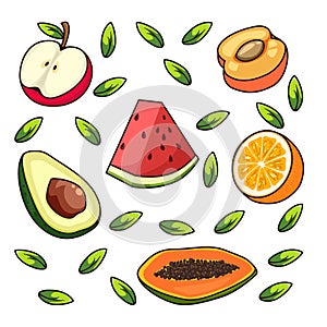 fruits vector illustration In isolated white background