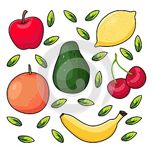 fruits vector illustration In isolated white background