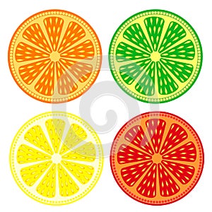 Fruits vector set of citrus: orange, lime, lemon, grapefruit, detailed icons? isolated over white background