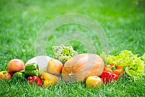 Fruits and vegetables photo