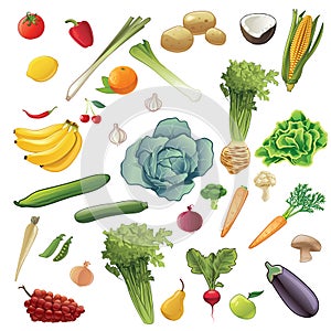 Fruits and Vegetables