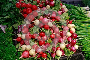 Fruits and vegetables on display in Fred Meyer, Inc., is a chain of hypermarket superstores in Portland, Oregon