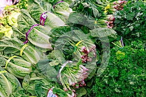 Fruits and vegetables on display in Fred Meyer, Inc., is a chain of hypermarket superstores in Portland, Oregon