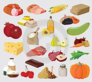Fruits, vegetables, fats, meat, cereals, dairy products