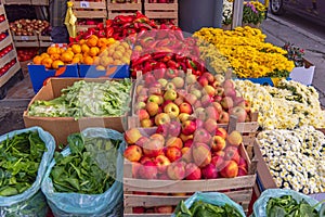 Fruits Vegetables Flowers