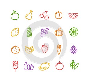 Fruits and Vegetables Icon Set. Vector