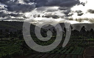 Fruits and vegetables plantations on Cape Verde