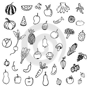 Fruits and vegetables sketch vector in black doodle on white background