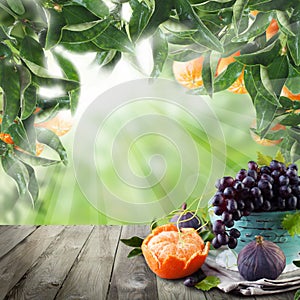 Fruits on wooden table in green sunlight mandarin garden. Natural morning background