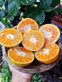 Fruitsweet fresh orange