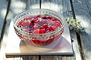 Fruity beery pudding