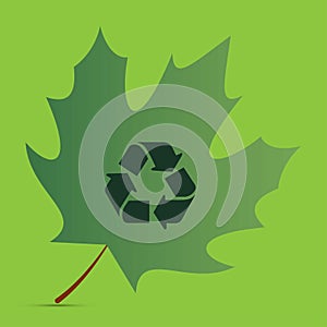 Maple leaf with recycle symbol on it