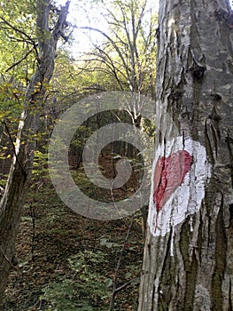 Fruska gora National Park,hearth symbol.