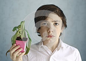 Frustrated teenage kid with wilted pot plant