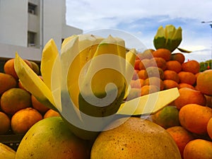 Frutas tropicales photo