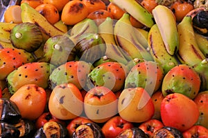 Frutta martorana photo